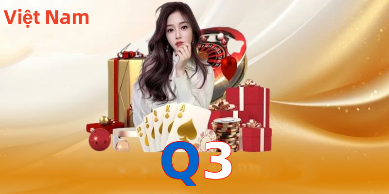 Q3
